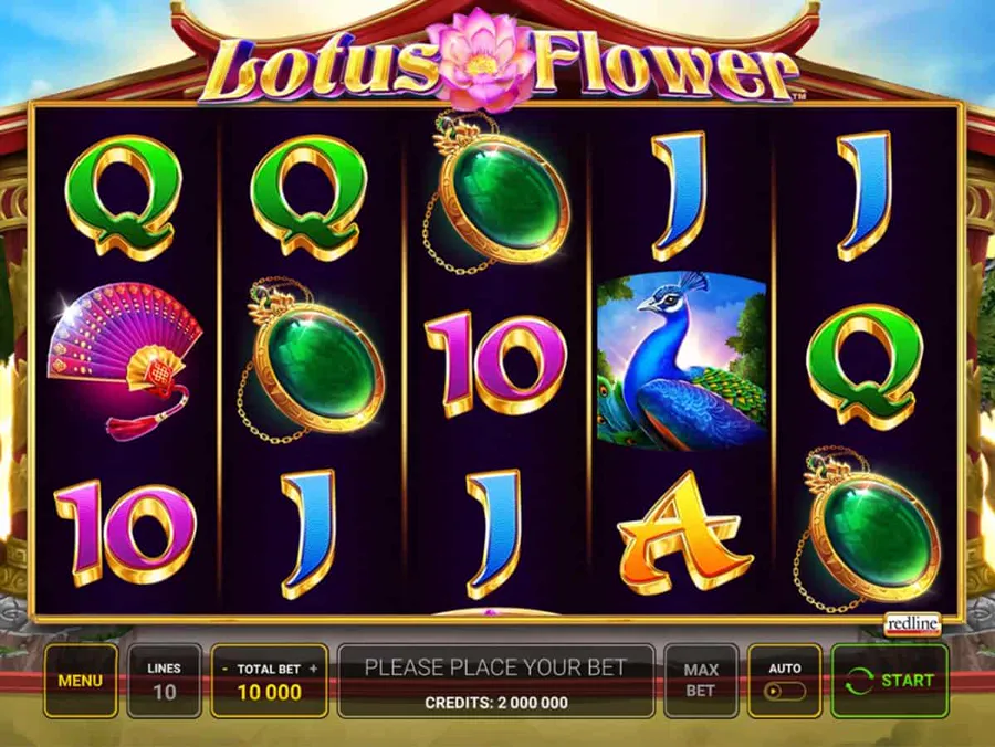 Lotus Flower