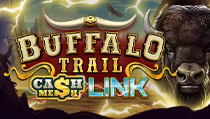 Buffalo Trail Cash Mesh Link