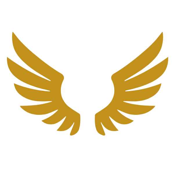 Valkyrie Studio logo