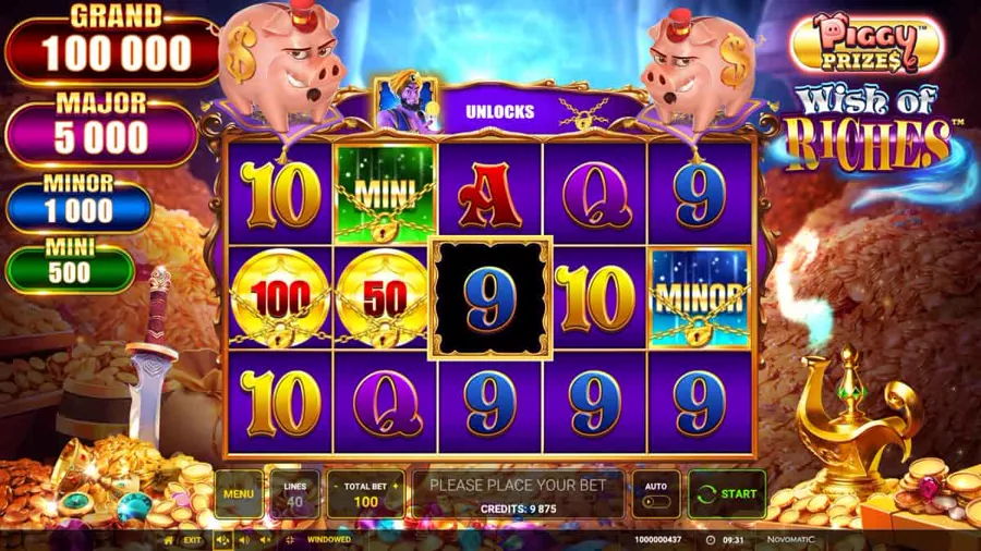 Piggy Prizes Wish of Riches