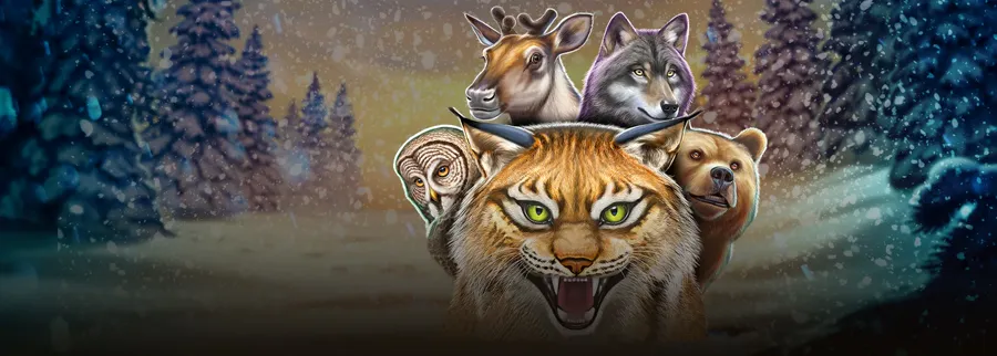 Wild North