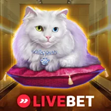 Book of Lady