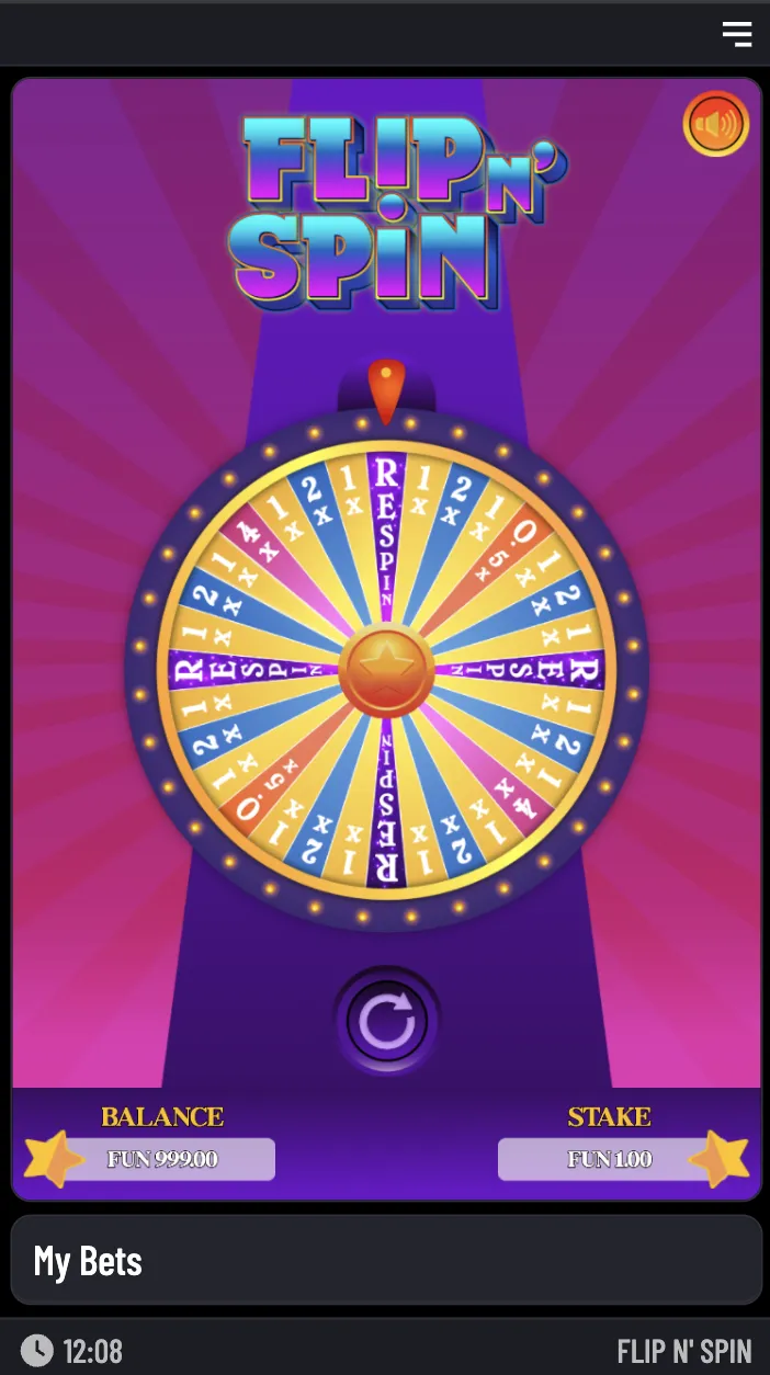 Flip ‘n Spin