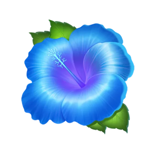 Waikiki Hold & Win
