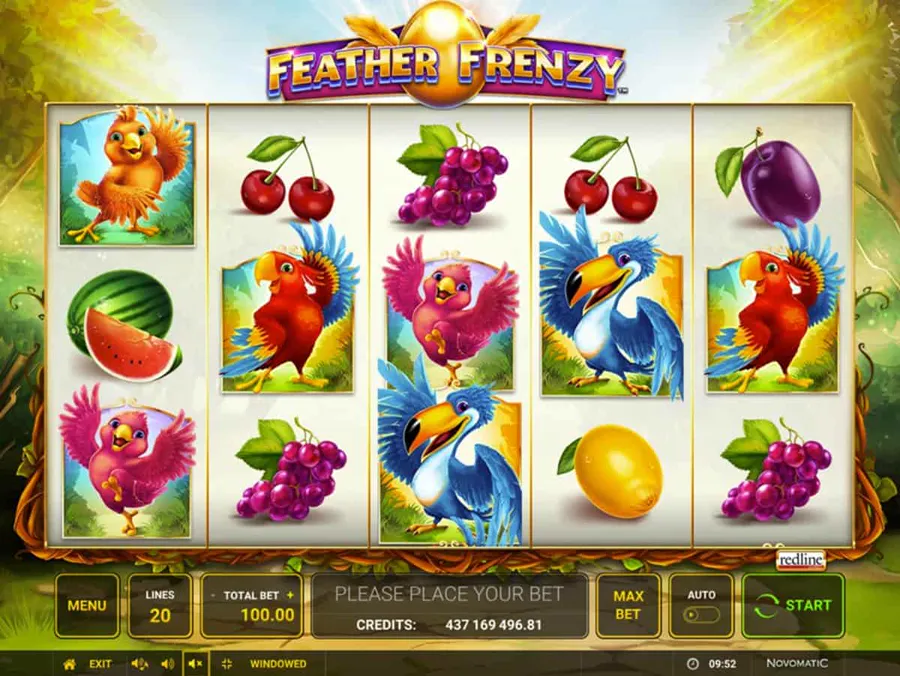 Feather Frenzy