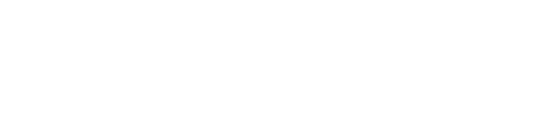 Playtech logo