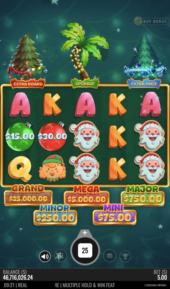 3 Christmas Fortunes